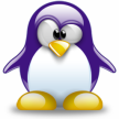 The Purple Penguin Creche