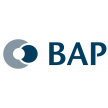 BAP - Bundesarbeitgeberverband der Personaldienstleister