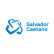 Grupo Salvador Caetano
