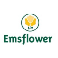 Emsflower GmbH