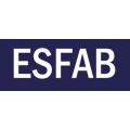 ESFAB - Experts in Global Search
