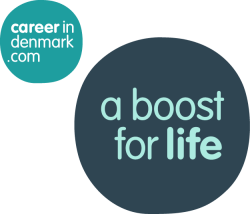 Career in Denmark