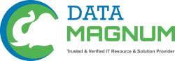 Data Magnum