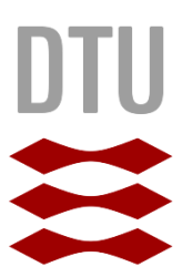 Technical University of Denmark (DTU)