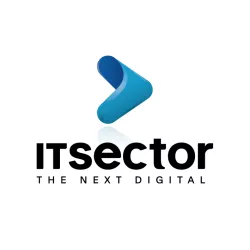 IT SECTOR