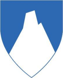 Narvik kommune