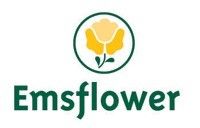 Emsflower GmbH