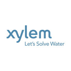 Xylem