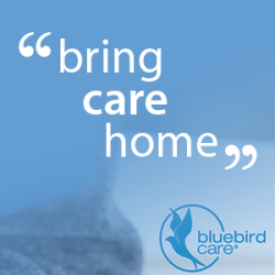 Bluebirdcare Limerick