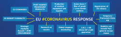 The Eu-Response to covid-19