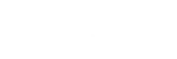 LS GROUP ROMA