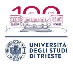 University of Trieste 