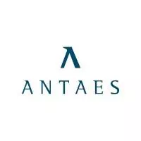 Antaes Consulting