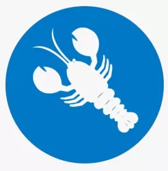 La Bodeguilla de José