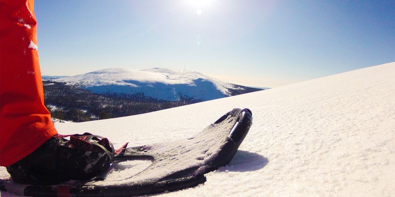Work in Lapland