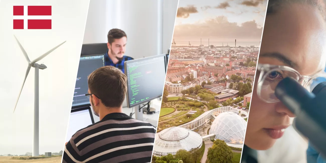 Start your career in Denmark