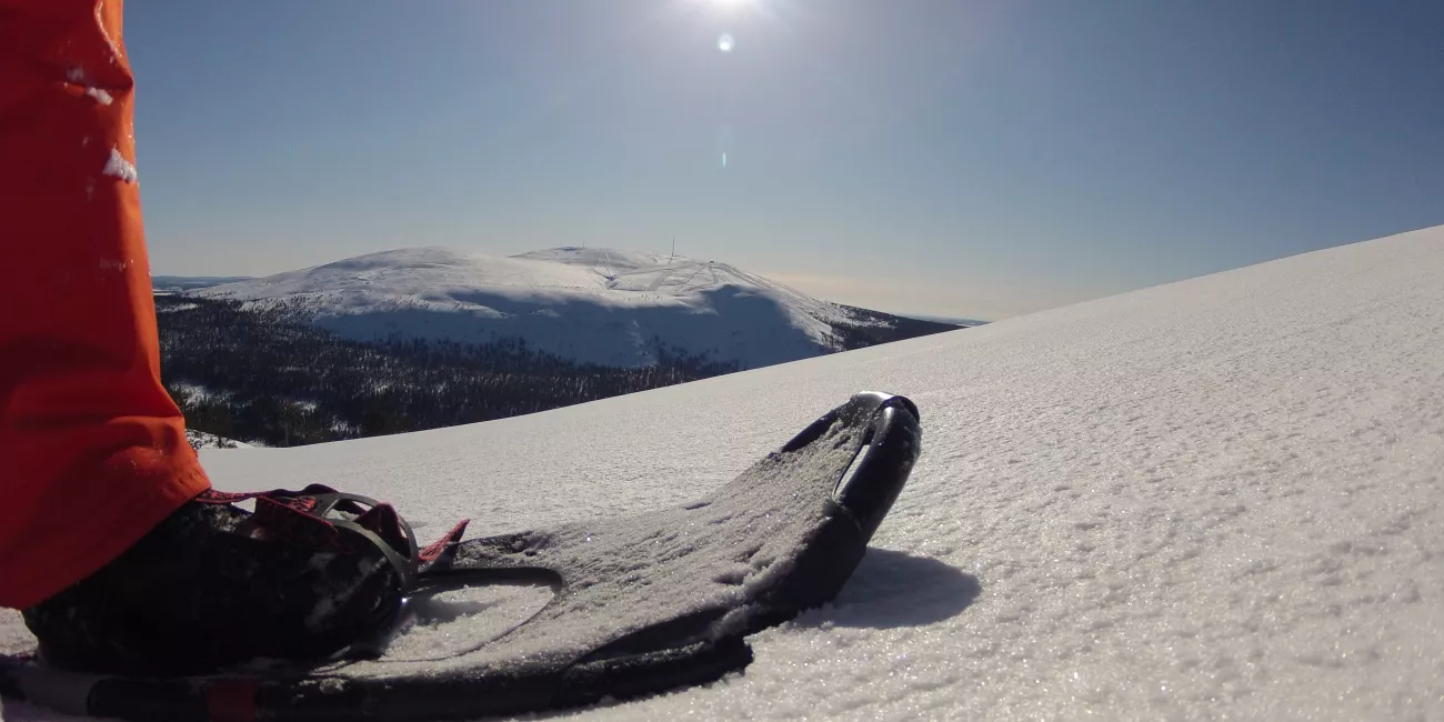 Snowboard