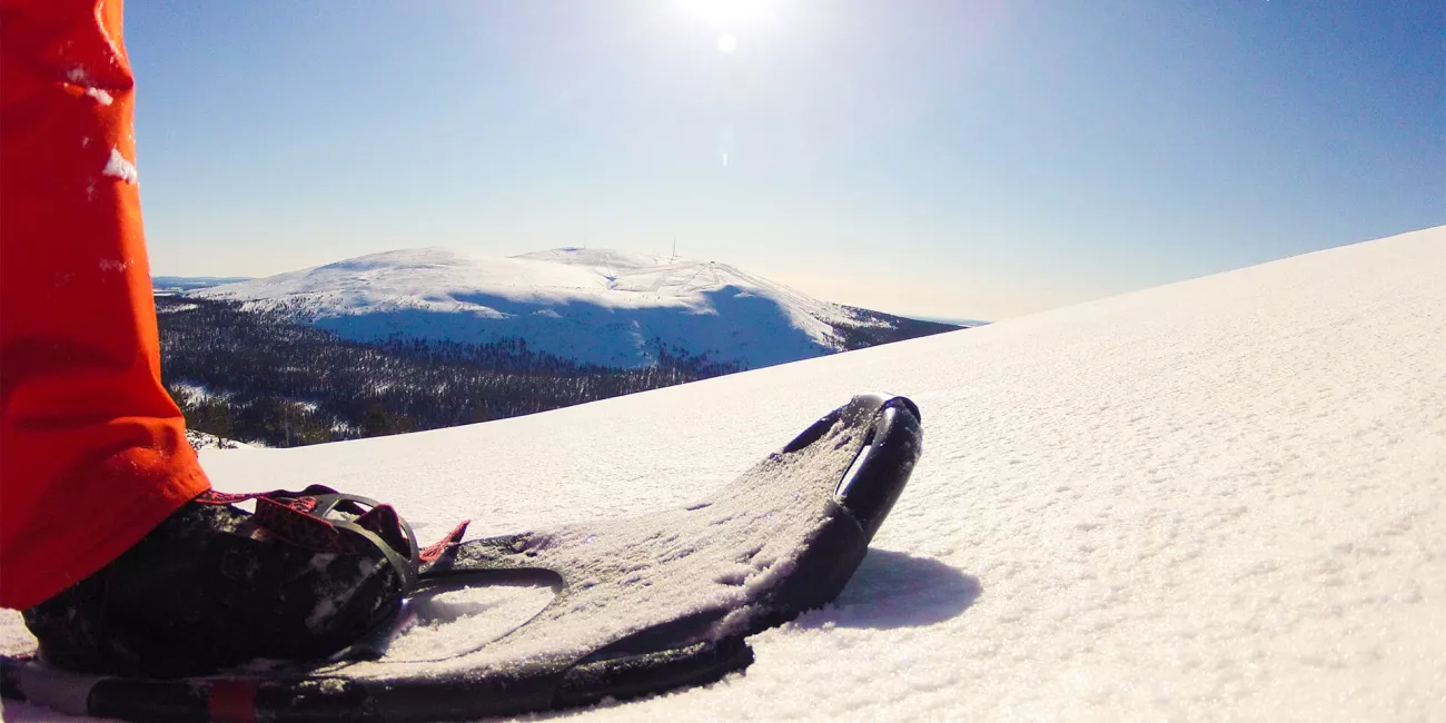 Work in Lapland