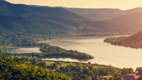 New Career in Hungary