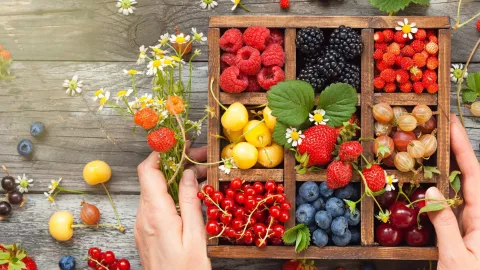 Hands holding a wooden box filled with assorted seasonal berries and fruits: strawberries, raspberries, blueberries, blackberries, currants, and cherries-arranged on a rustic wooden table with wildflowers around.