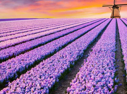 One click to The Netherlands