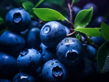Berries covered with dew drops