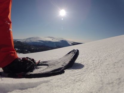 Snowboarder on the top of the mountain